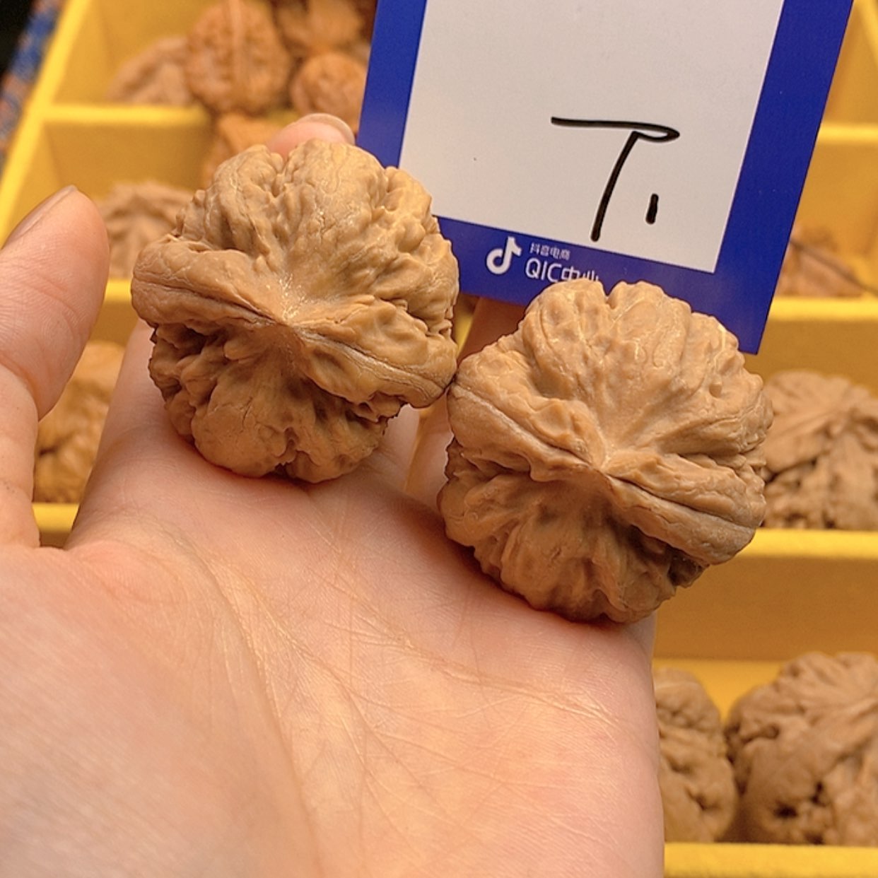 【闪购商品】文玩核桃把件霸王龙