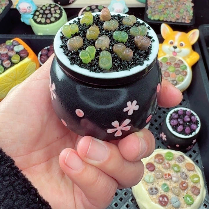 525零下地区记得拍保温箱