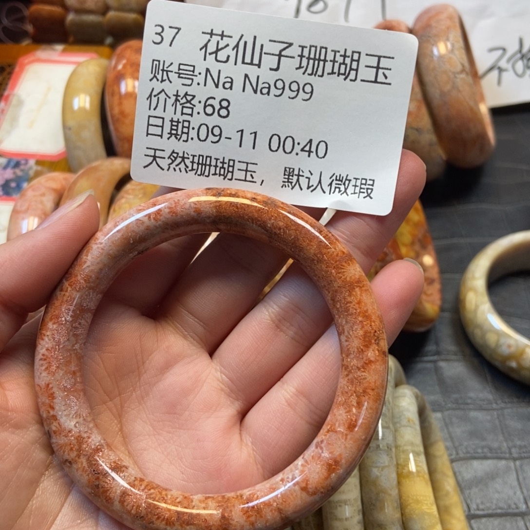 N***9未镶嵌硅化珊瑚（珊瑚玉）珠宝半成品37