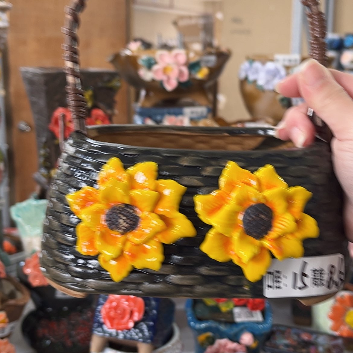 【闪购商品】红陶福利