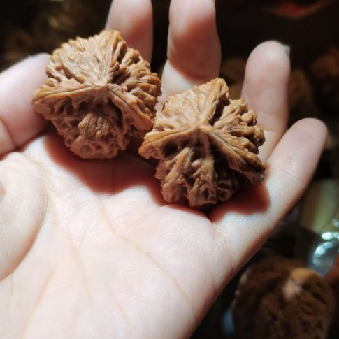 猴头核桃吊坠35盘山