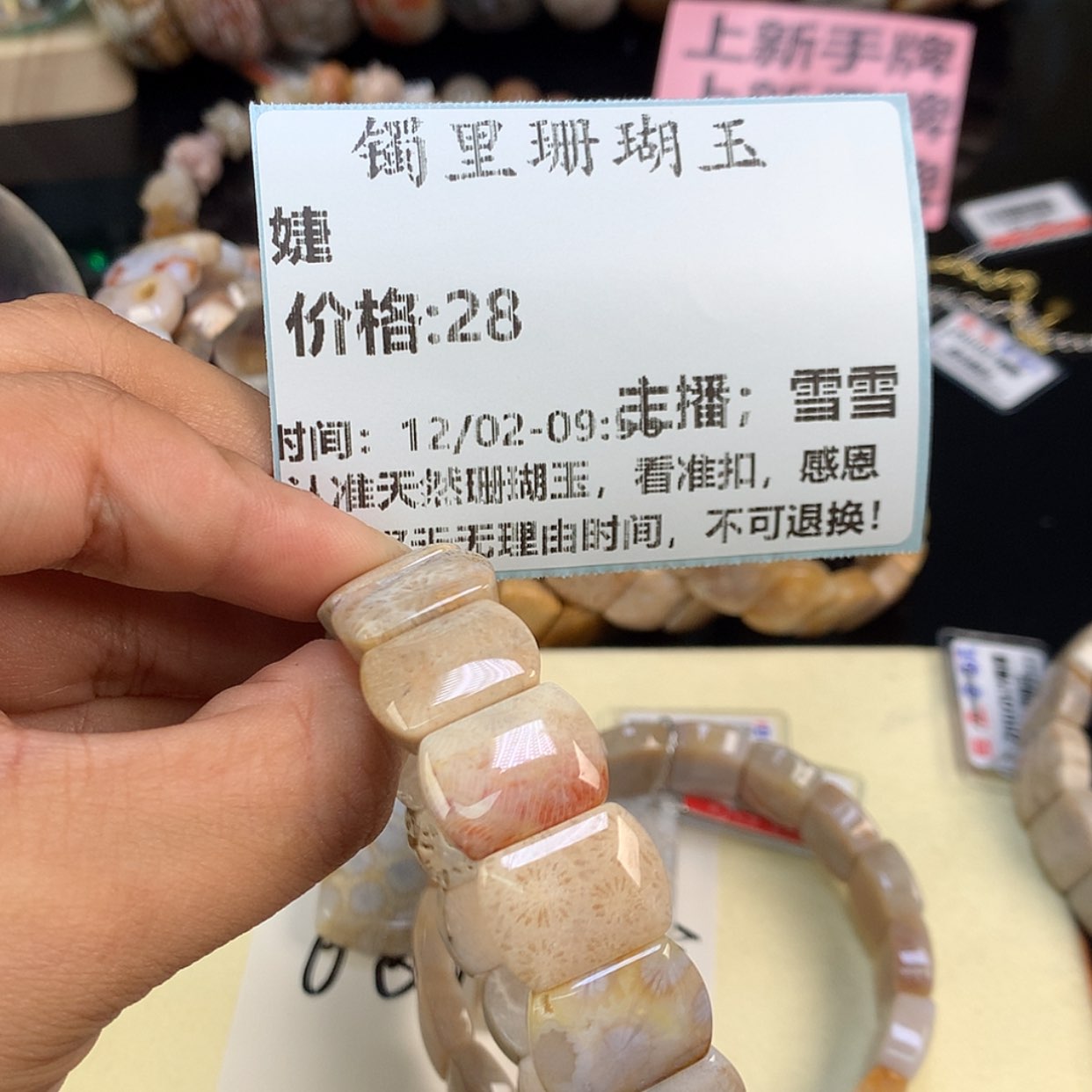 【闪购商品】颈饰未镶嵌硅化珊瑚（珊瑚玉）婕