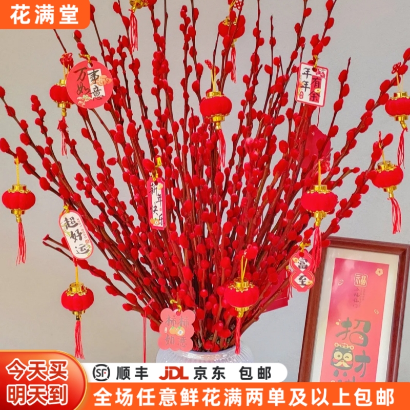【次日达·银柳一把】银柳一把·云南鲜切花·生活鲜花·任意两单升级顺丰包邮·三单送花瓶·批发·直发`生活鲜花DIY