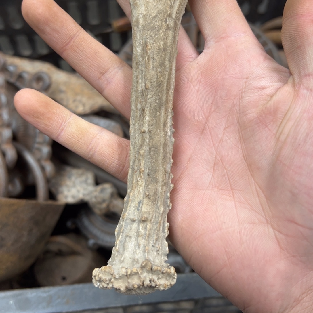 秦***外一图一物的小杂项