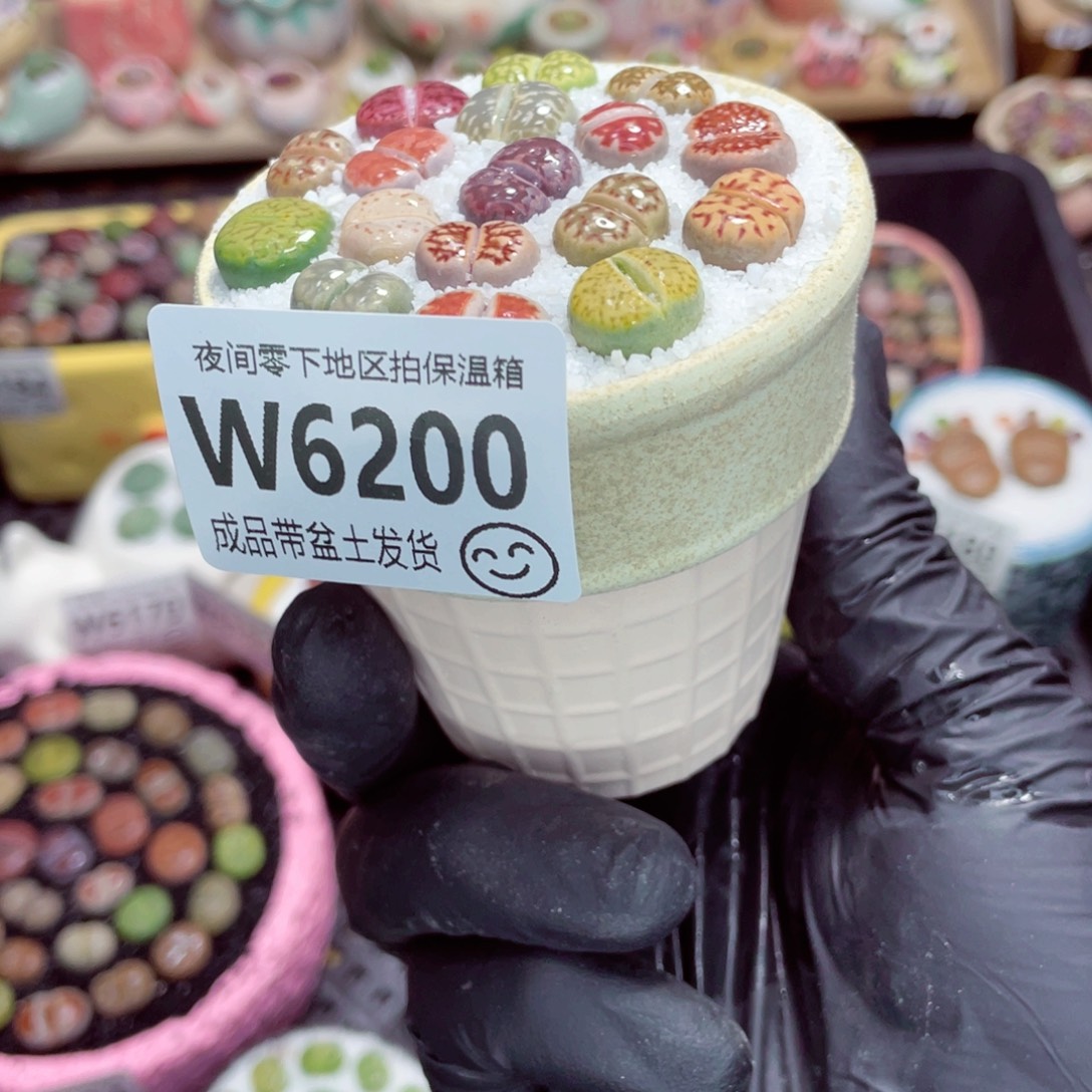 夜间零下地区拍保温箱w6200