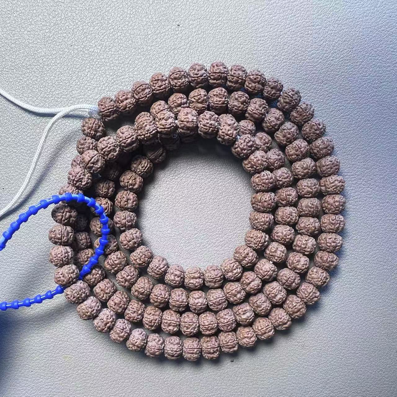 865金刚菩提老树梅花