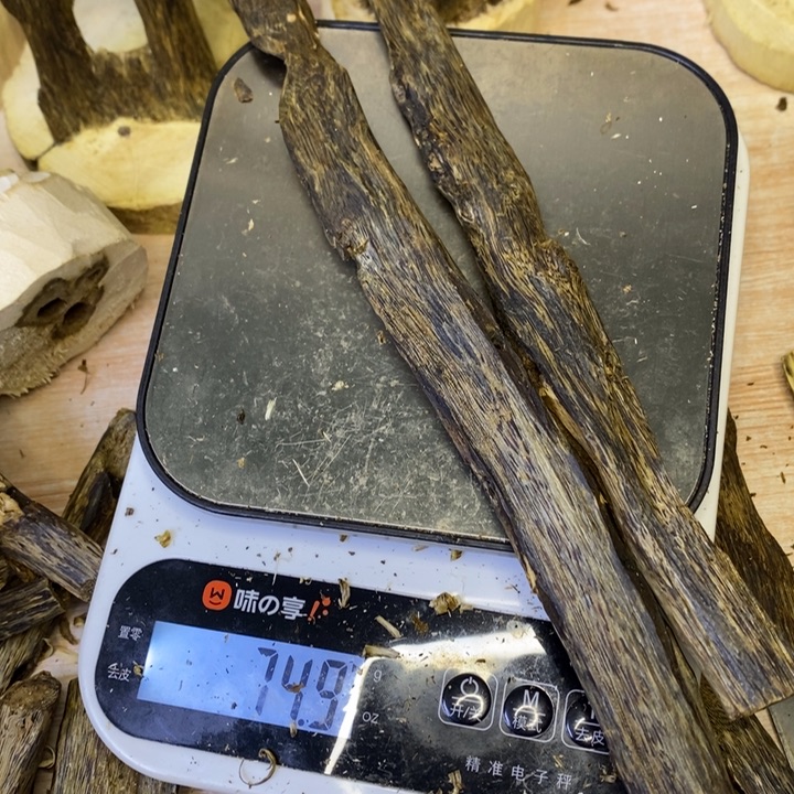 棋楠沉香香香香香香