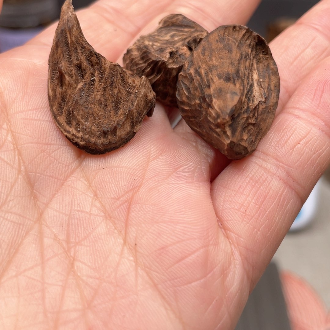 【闪购商品】沉香沉香碎屑深*芽庄棋楠种九分