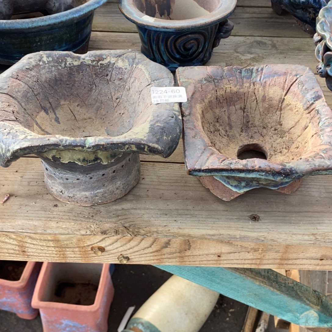 菩***然60号花盆两个福利啦啦