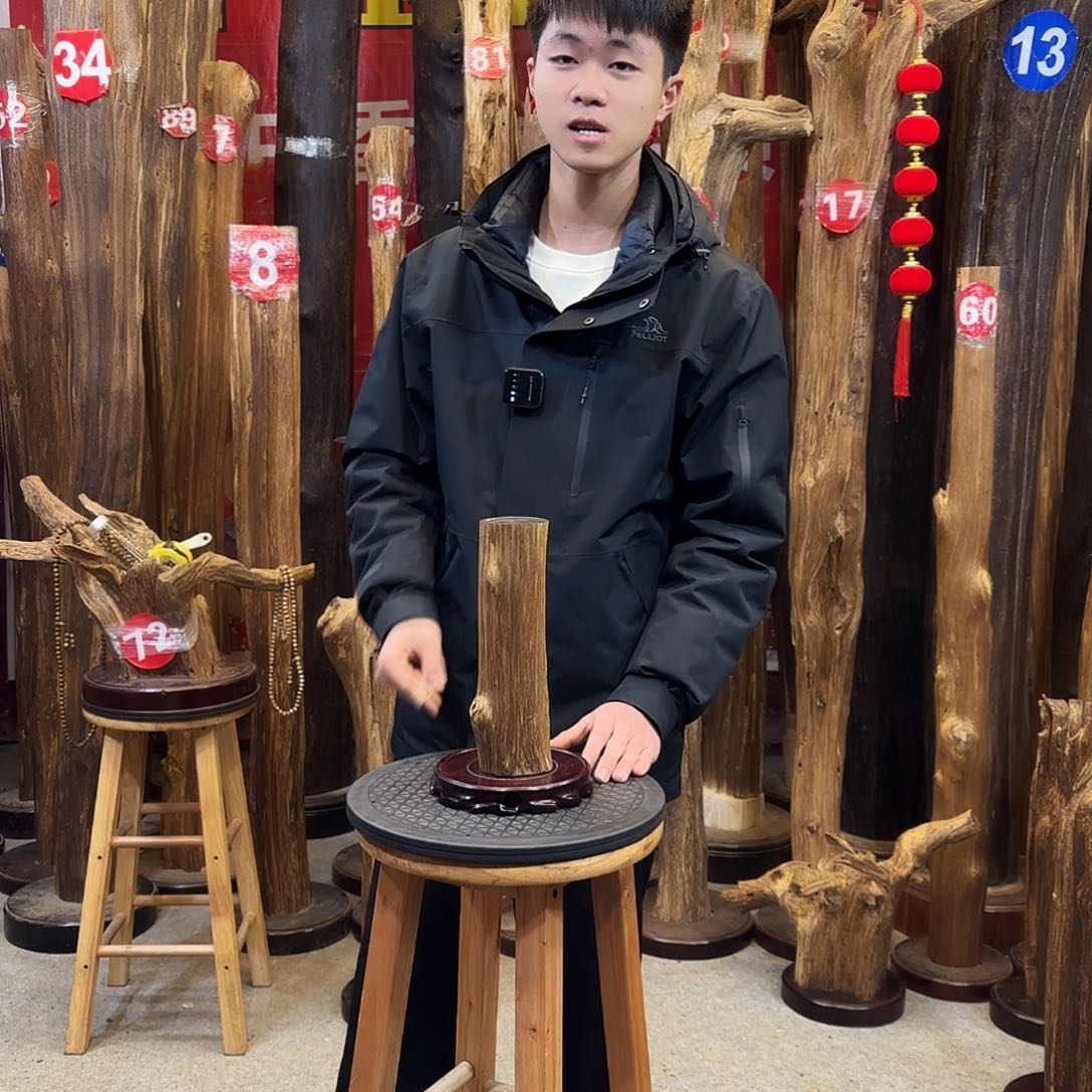 沉香摆件并**远海南沉香
