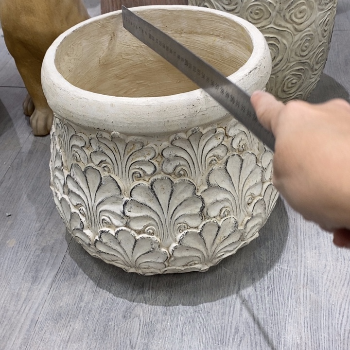 花盆8184949191919919