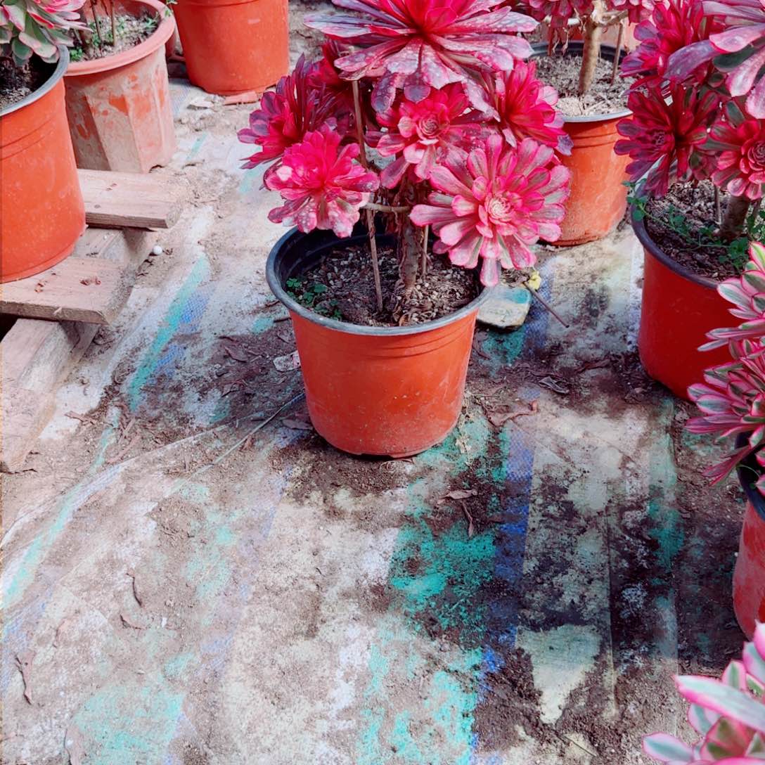 ?***姐滴滴答答滴滴答答