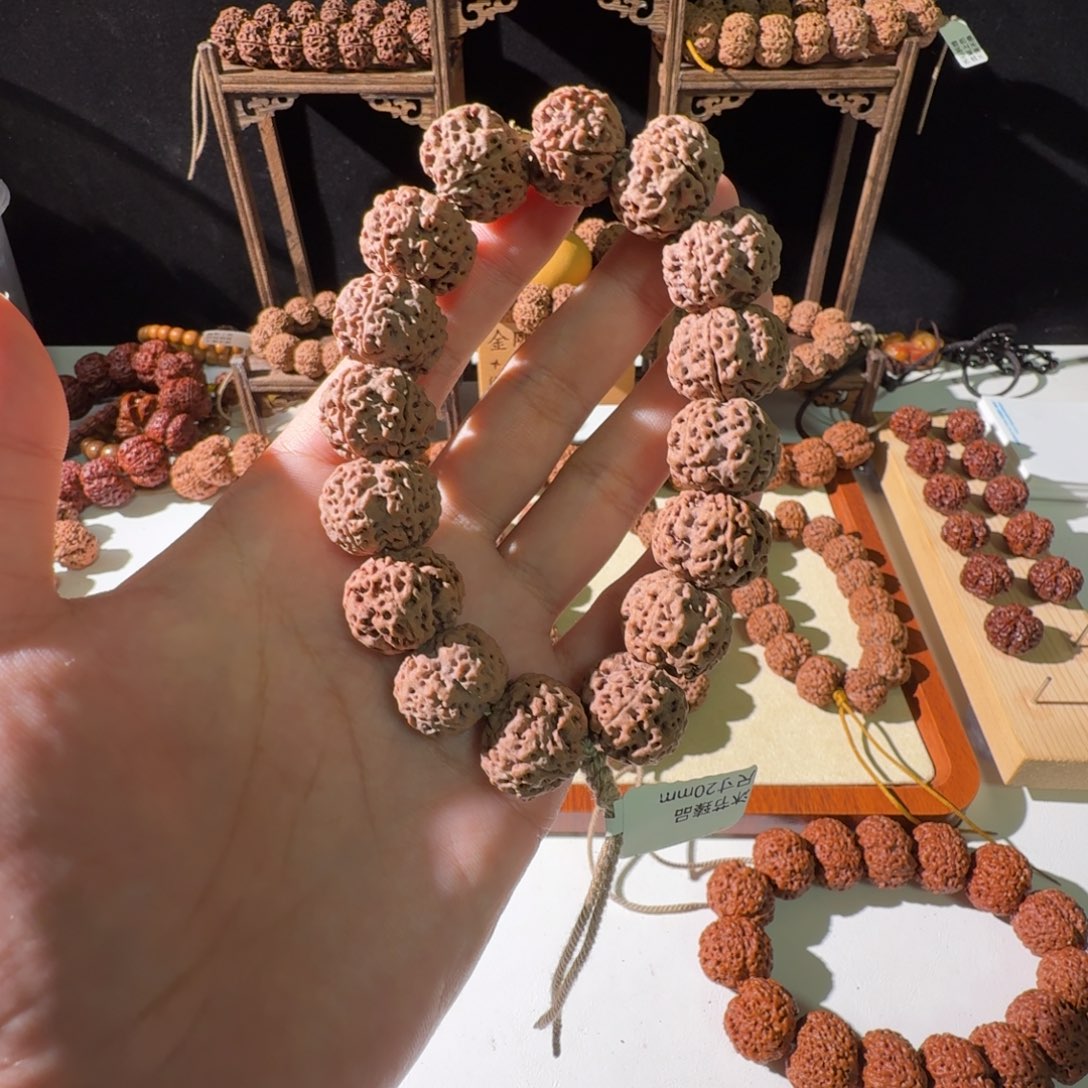 手串金刚菩提20尺寸红皮梅花