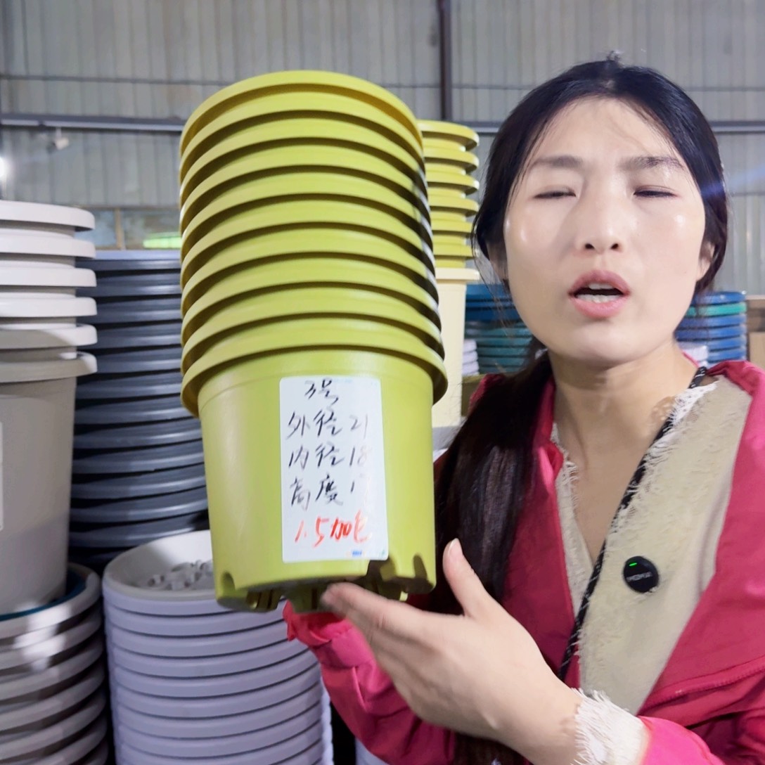 微瑕3#无拖果绿10个