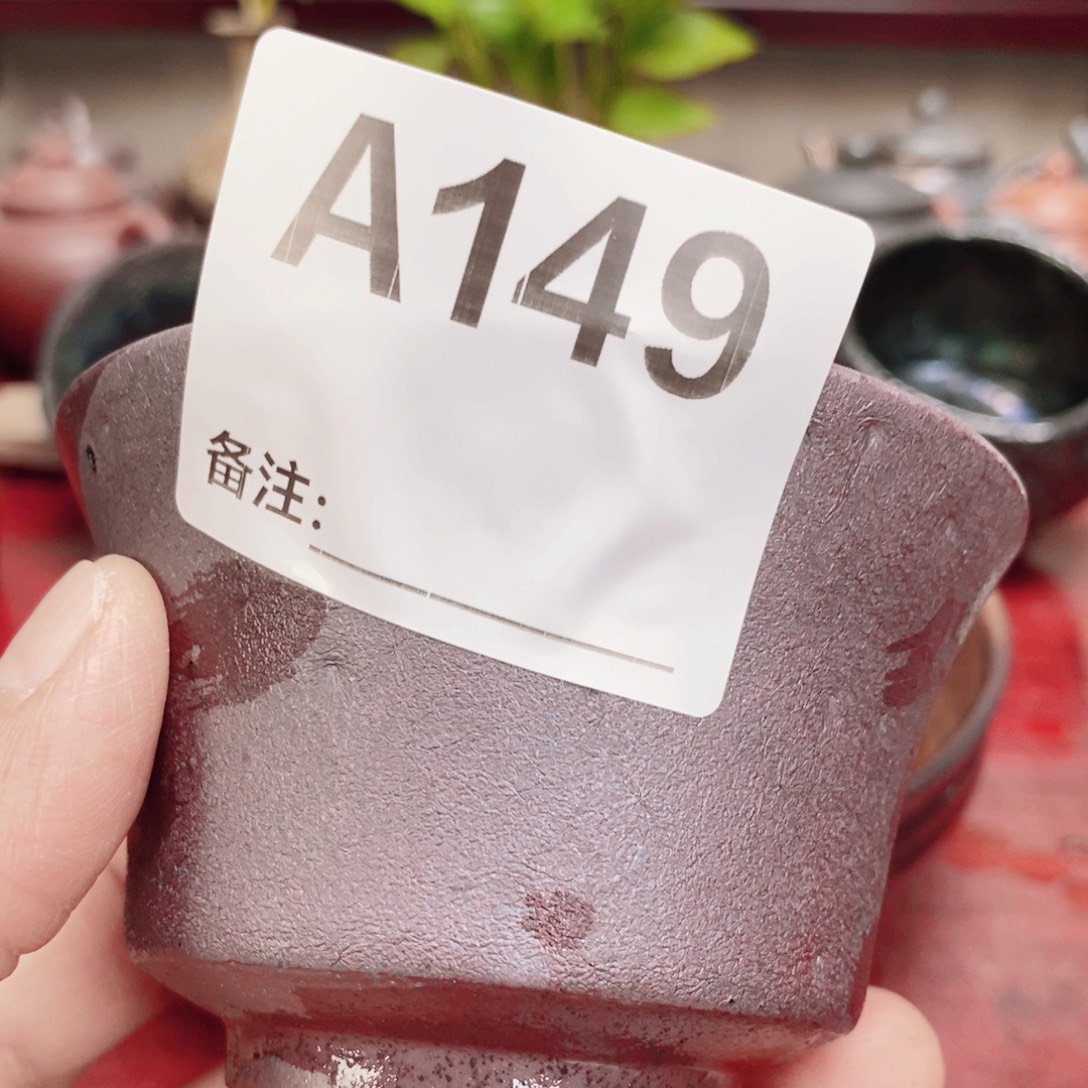 茶杯紫砂riop579900000