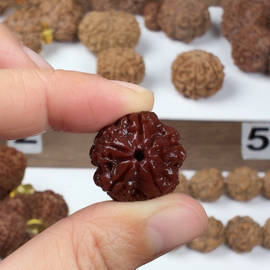 金刚菩提手串原生态精品5瓣梅花蜂窝