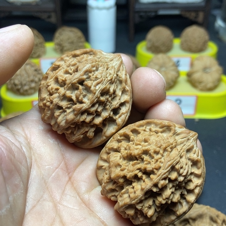 核桃满天星狮子头006