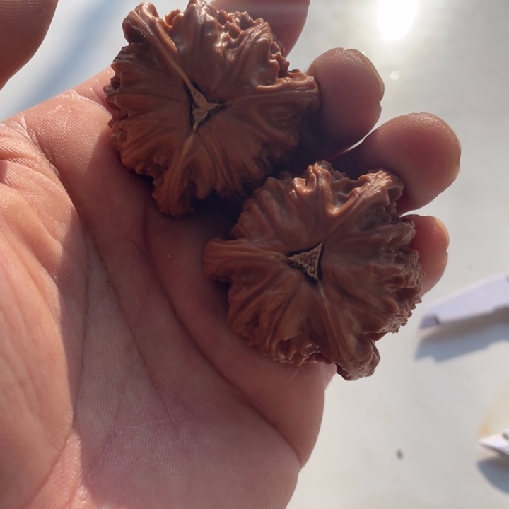 文玩核桃吊坠三棱三棱