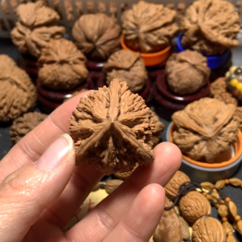 核桃九*三棱人字一个