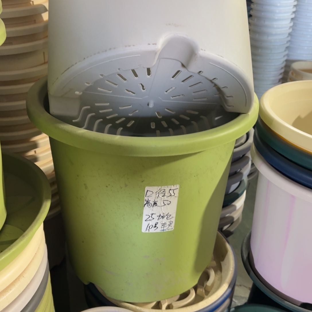 四季55口无拖果绿2个