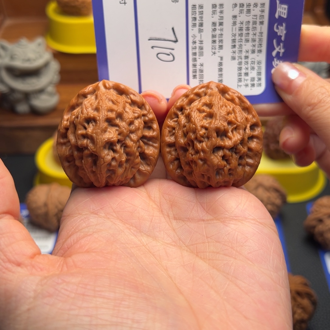 核桃710金公子39尺