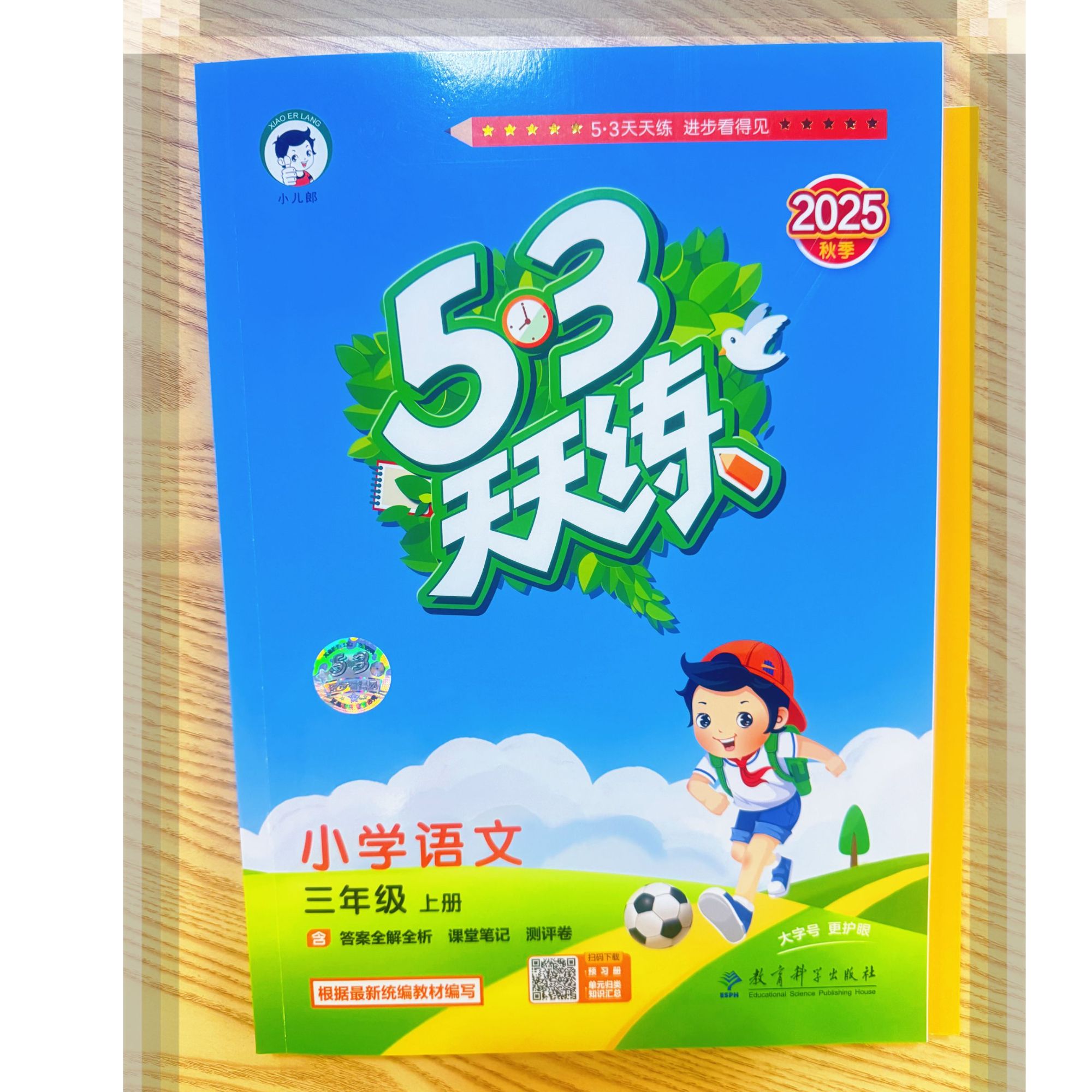 5.3天天练 小学语文人教版