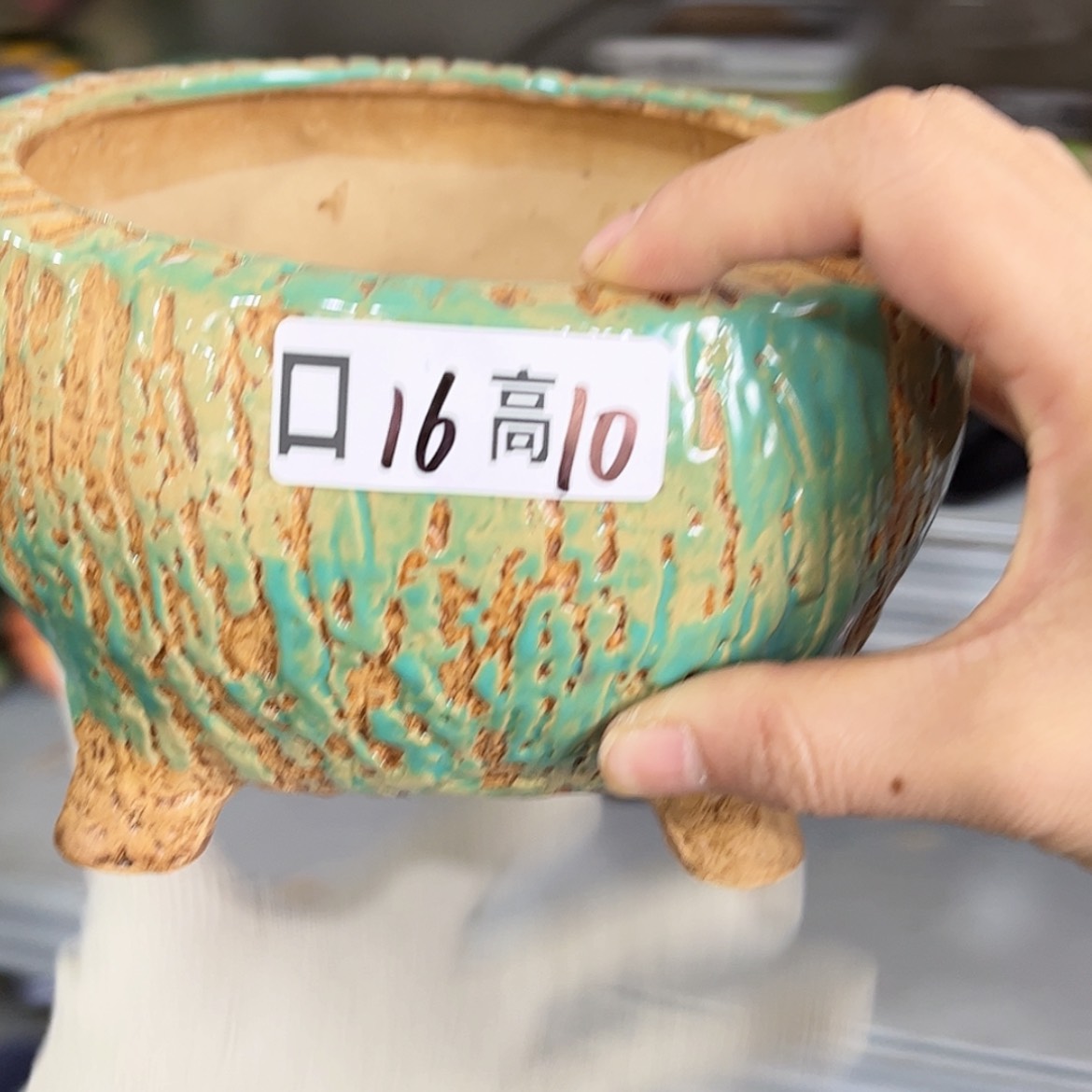 【闪购商品】红陶福利