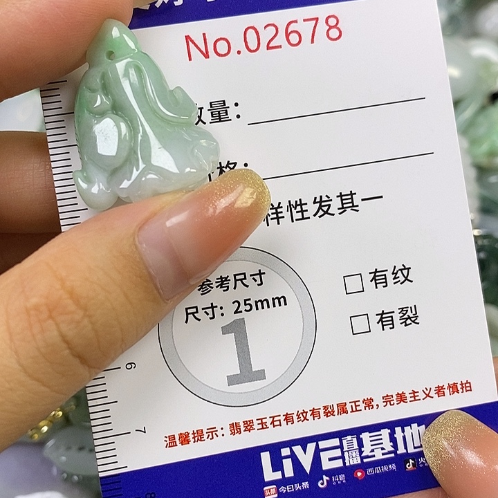 翡翠未镶嵌颈饰翡翠