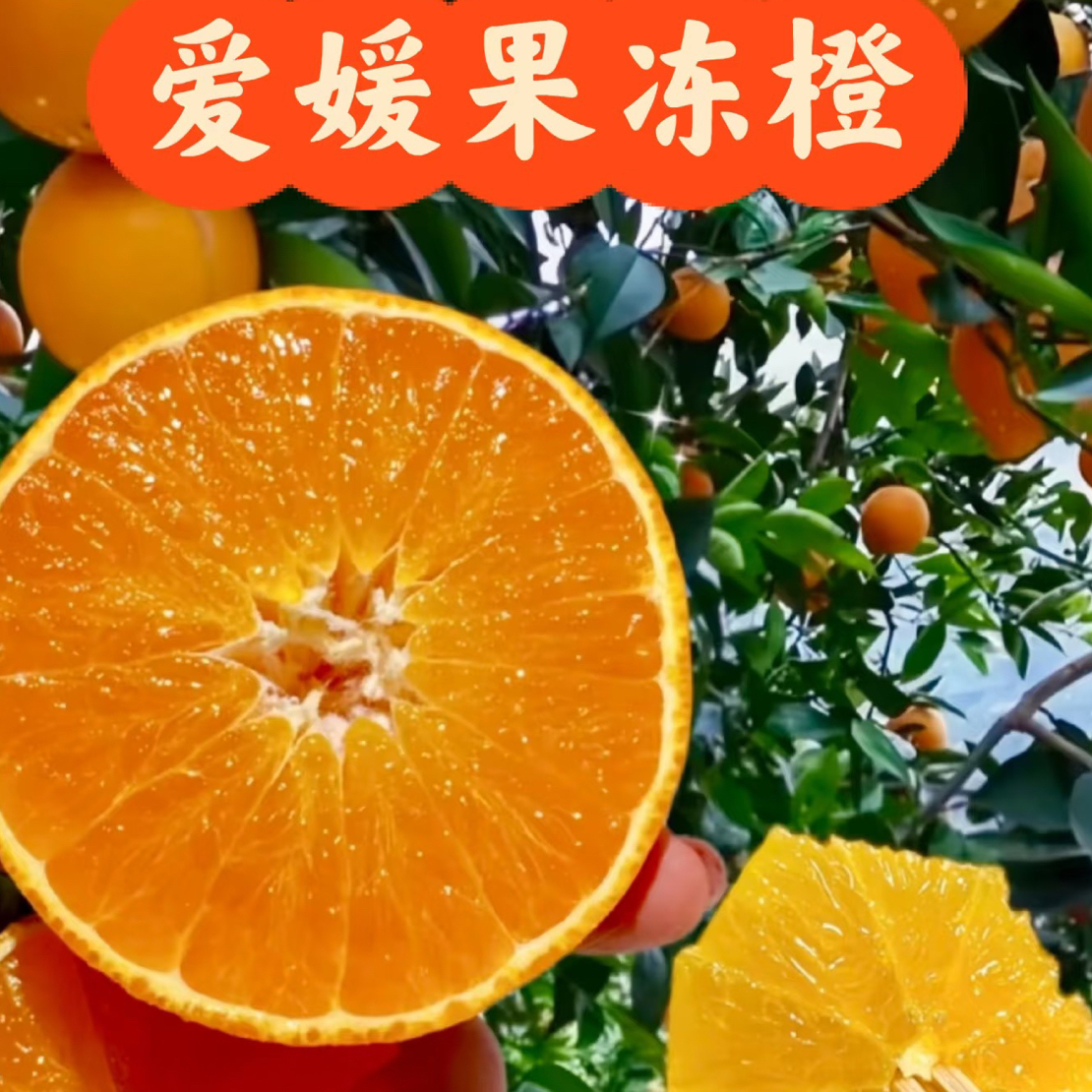 【V嘉精选】爱媛果冻橙礼筐3.8～4斤一筐云南省