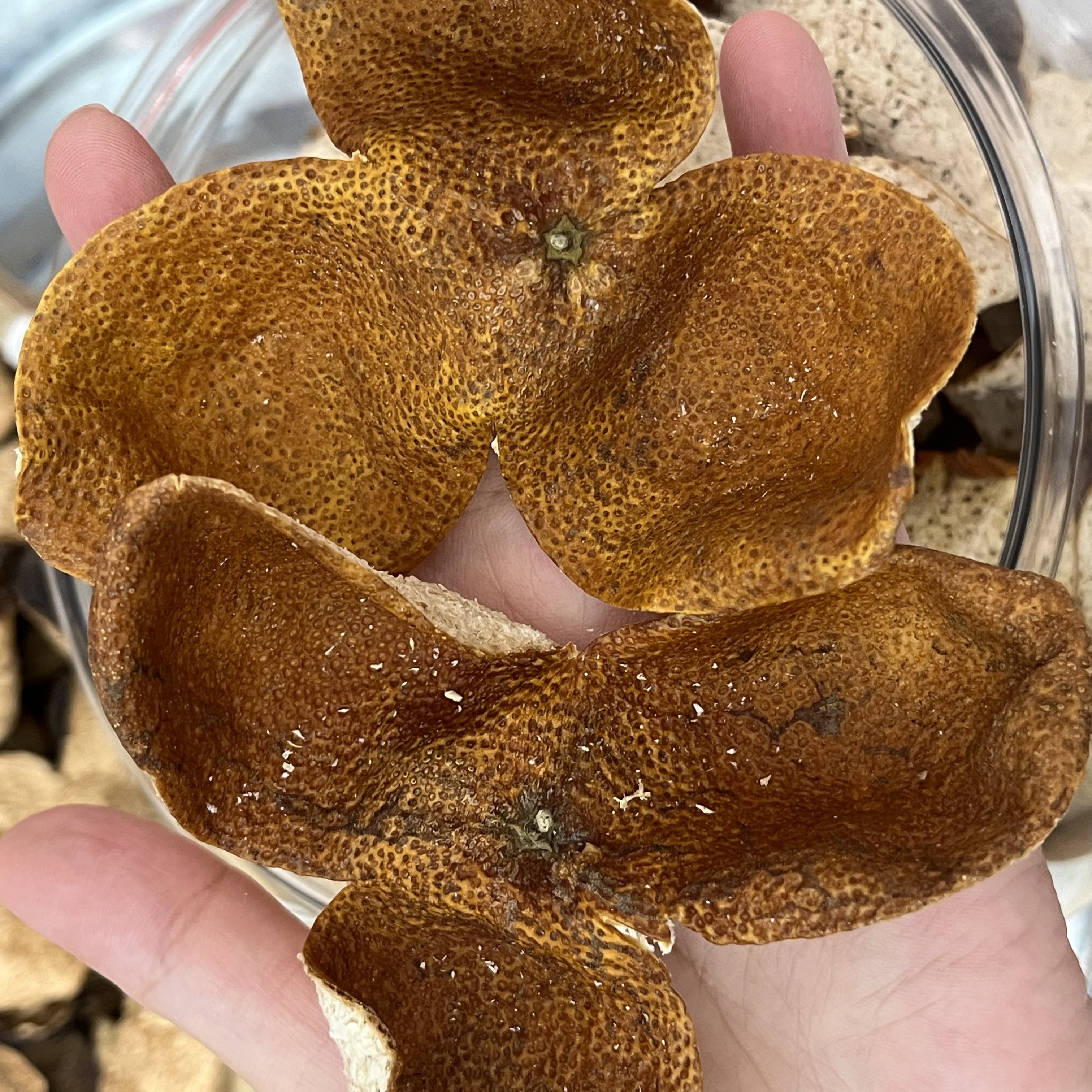 2024年梅江塞口围 原枝大红 20年老树 大叶油身