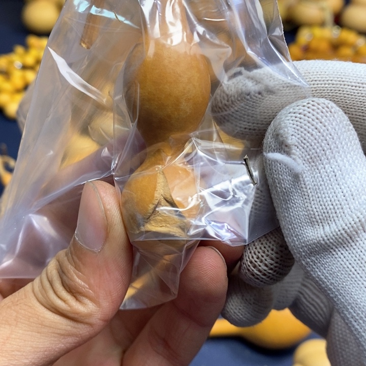 大***帅在线函数第十三单元练习