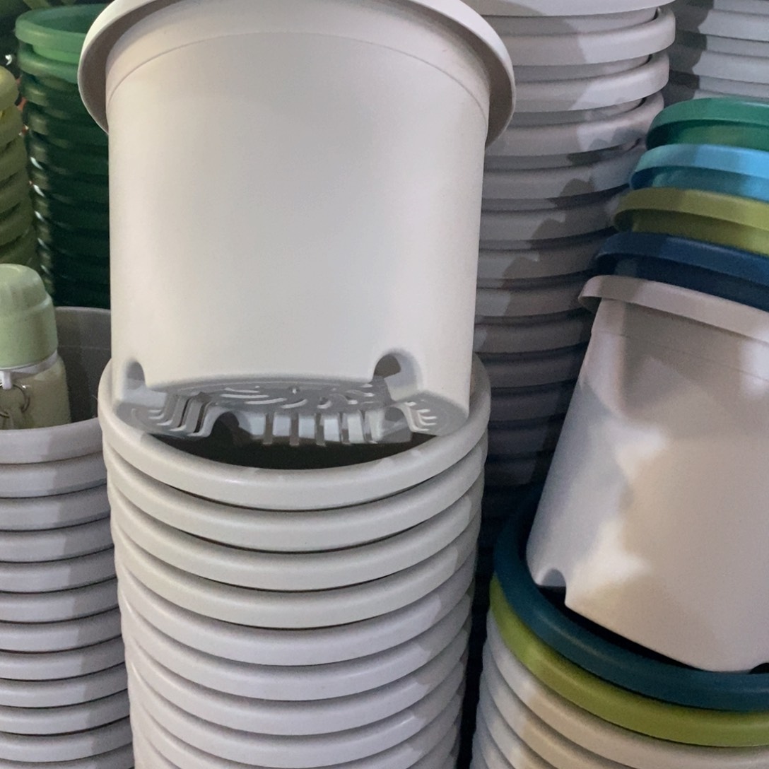 树脂特价3#无拖灰白10个