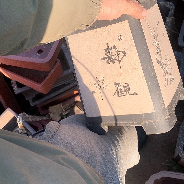 紫砂我要不就是你一