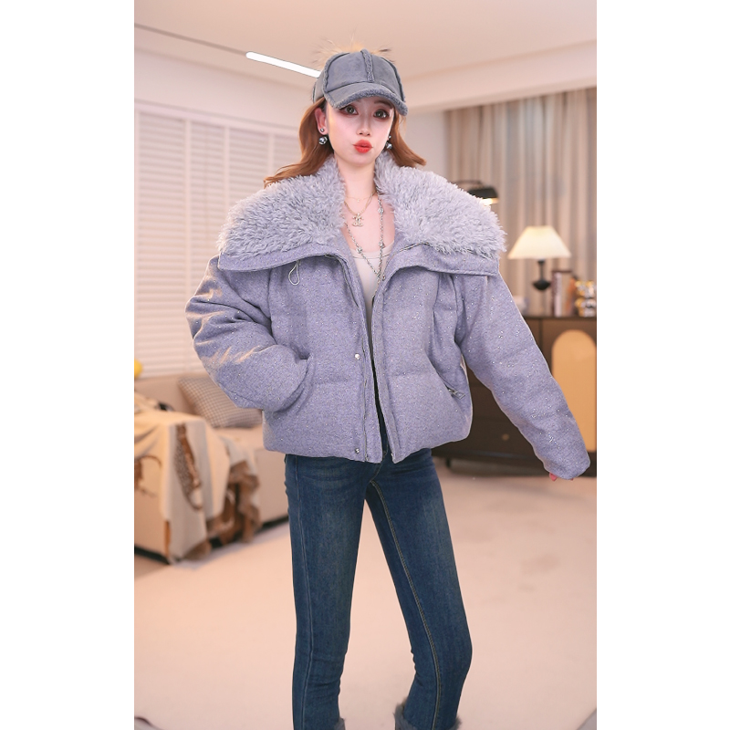 2025冬季韩系小个子简约设计感减龄短款大翻领鹅绒服YX25A1219-2