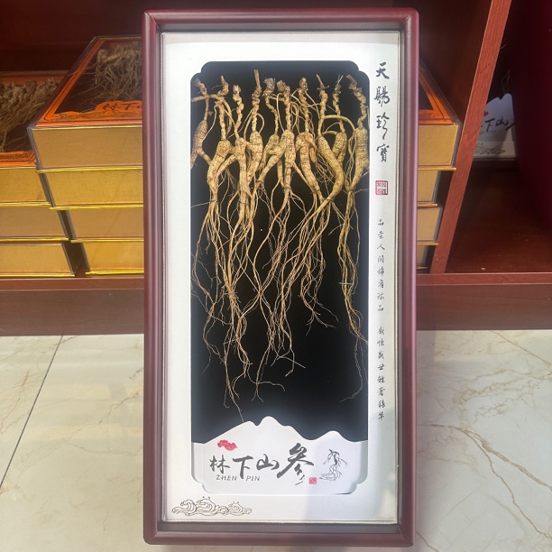长白山精选林下参 品质上乘！