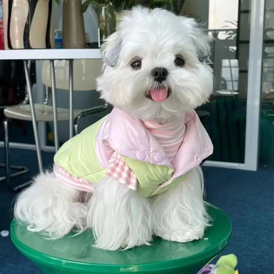 狗狗宠物衣服冬季保暖马卡龙拼色加厚外套