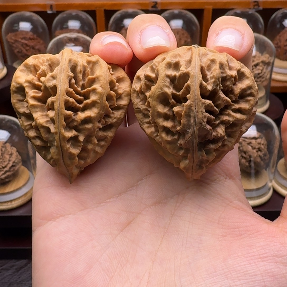 豪***肌把件文玩核桃降落伞