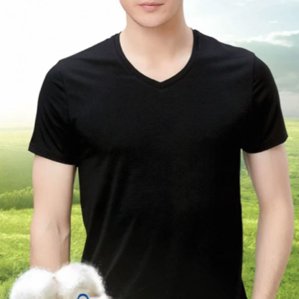 男款百搭短袖6146