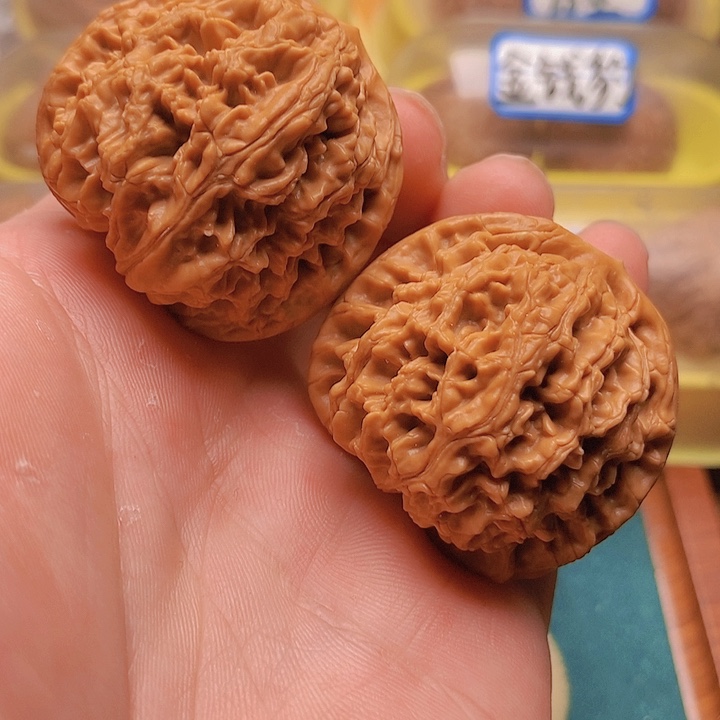 文玩核桃把件43粗筋爆肉水龙纹