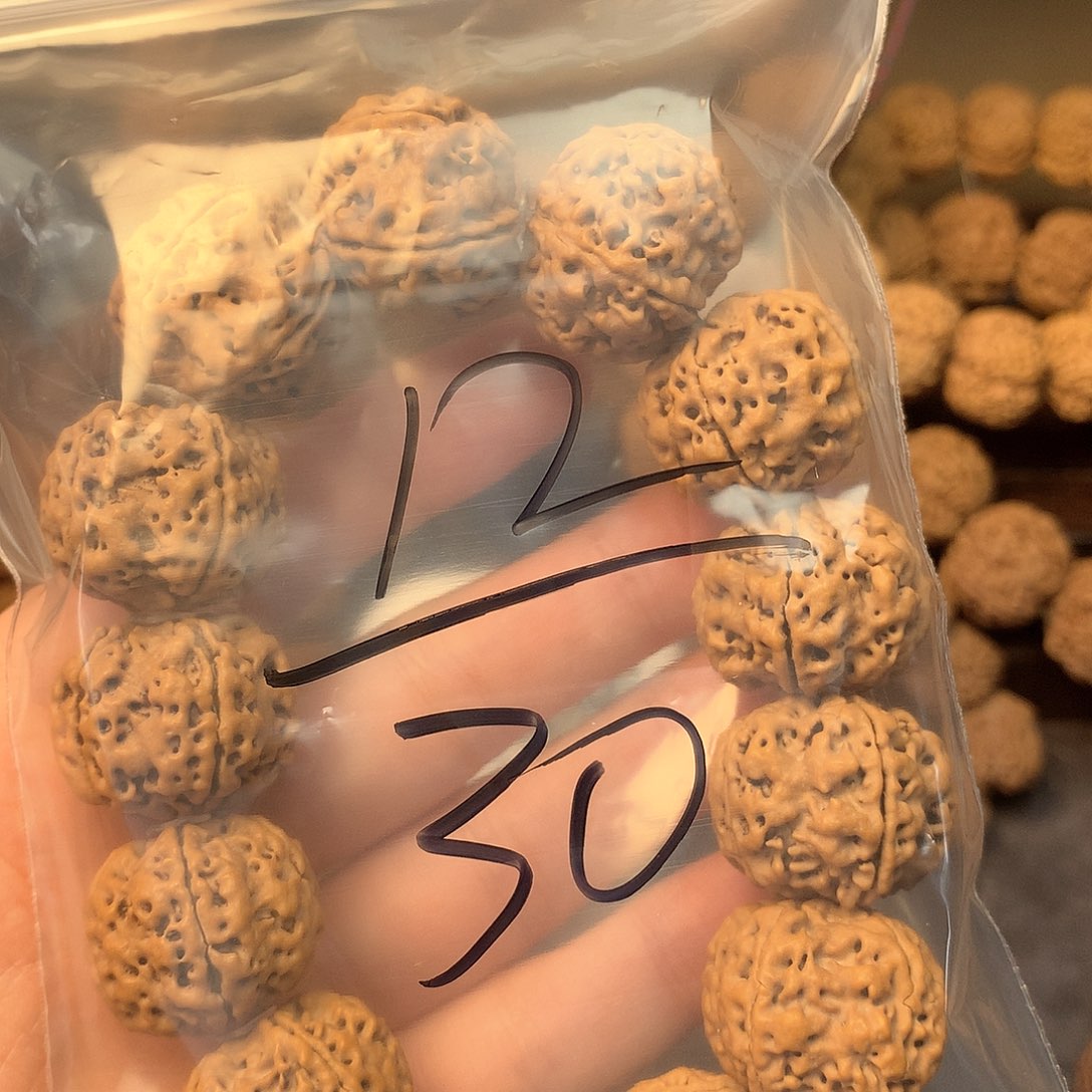 金刚菩提吊坠㊣12//////////