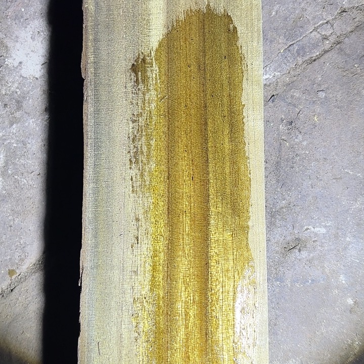 金丝楠啊啊啊啊啊啊