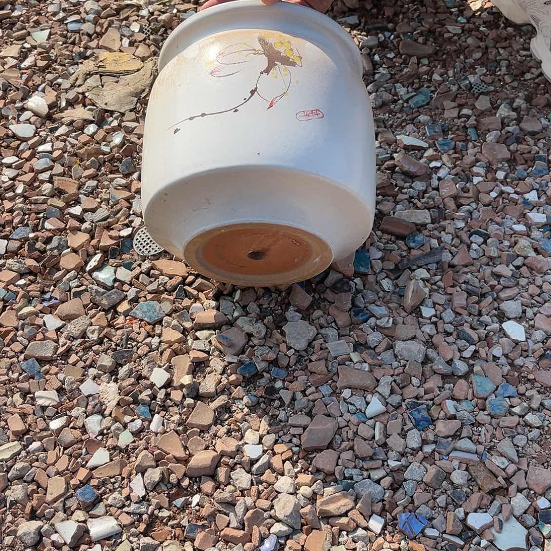 红陶养养花盆0224-1081