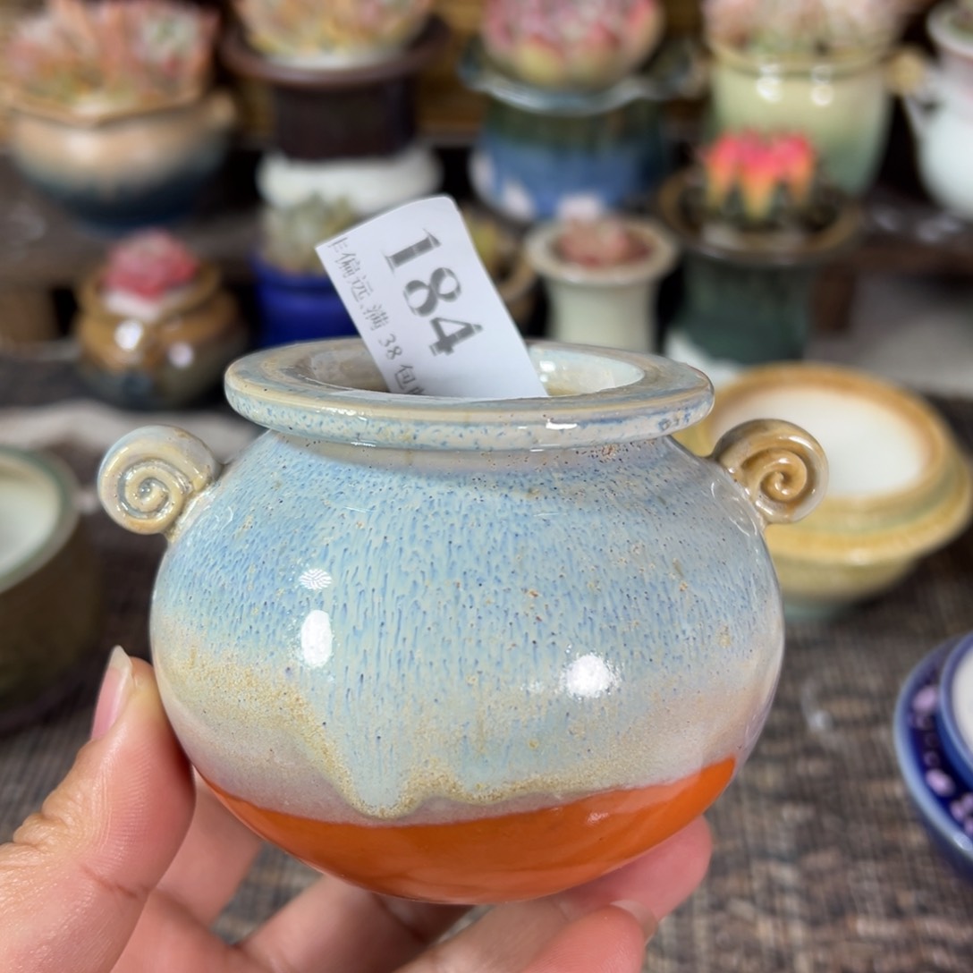 红陶景德镇手工花盆