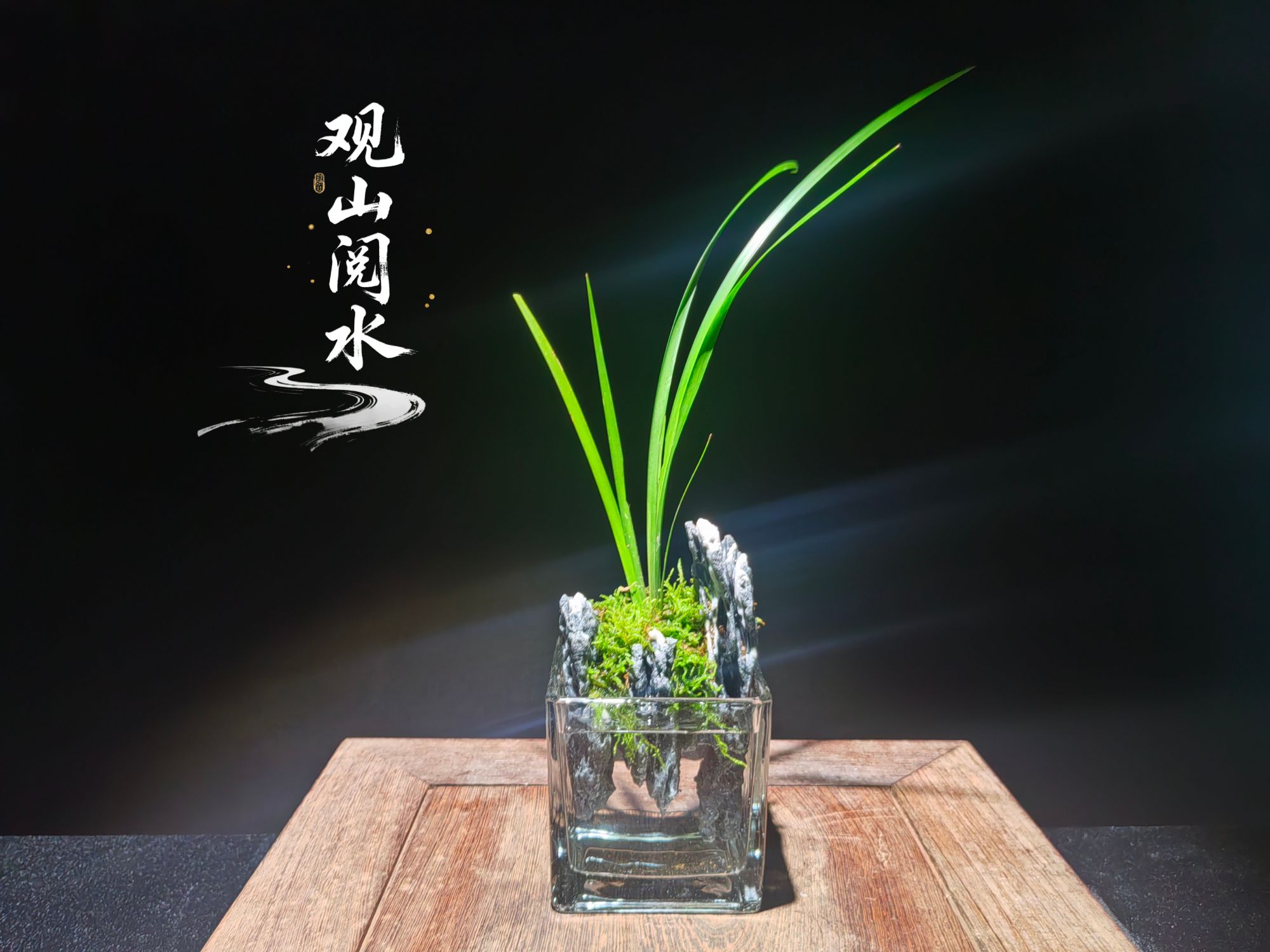 菖蒲整套成品可拆卸创意绿植桌面微景观缸体尺寸8*8