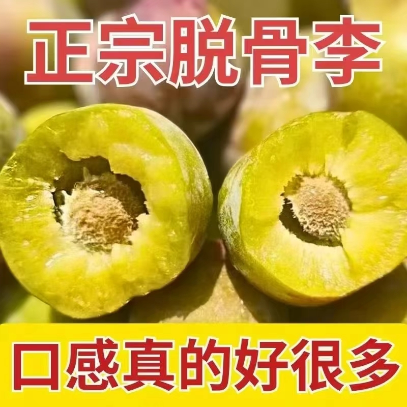 四川正宗脱骨半边红李子新鲜现摘脆甜多汁应季水果