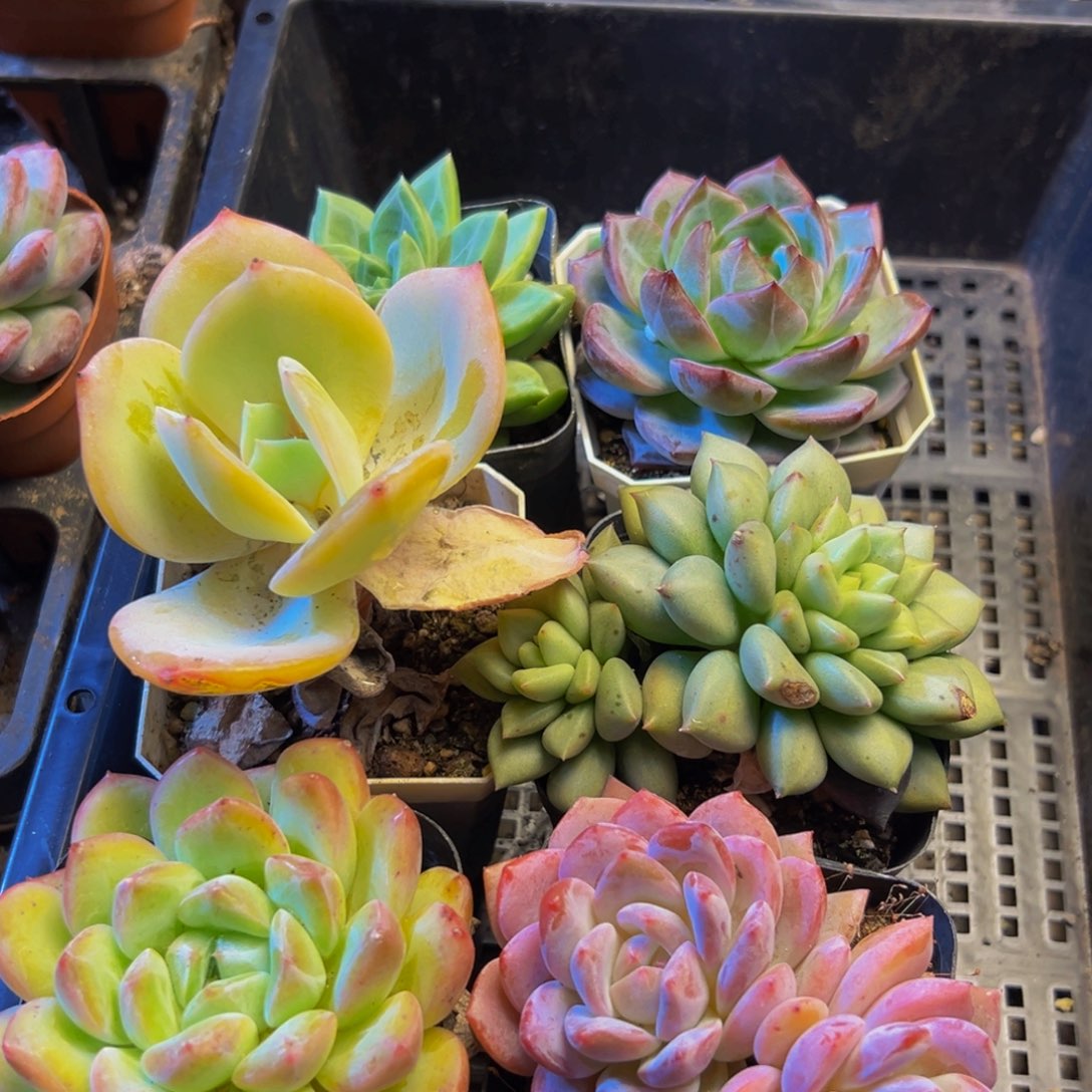 476的人了还不知道什么时候