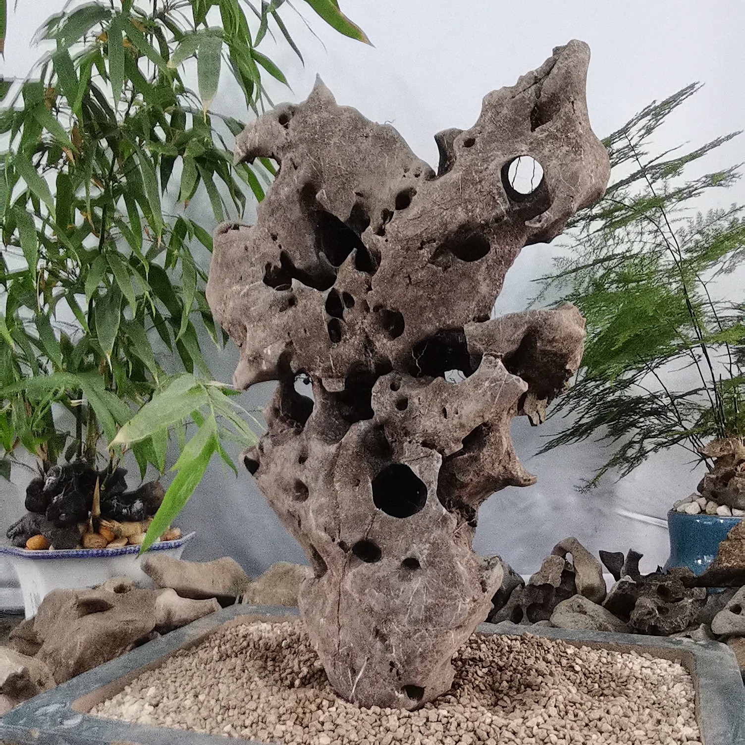 精品太湖石，附石，英石直播间截图一物一拍