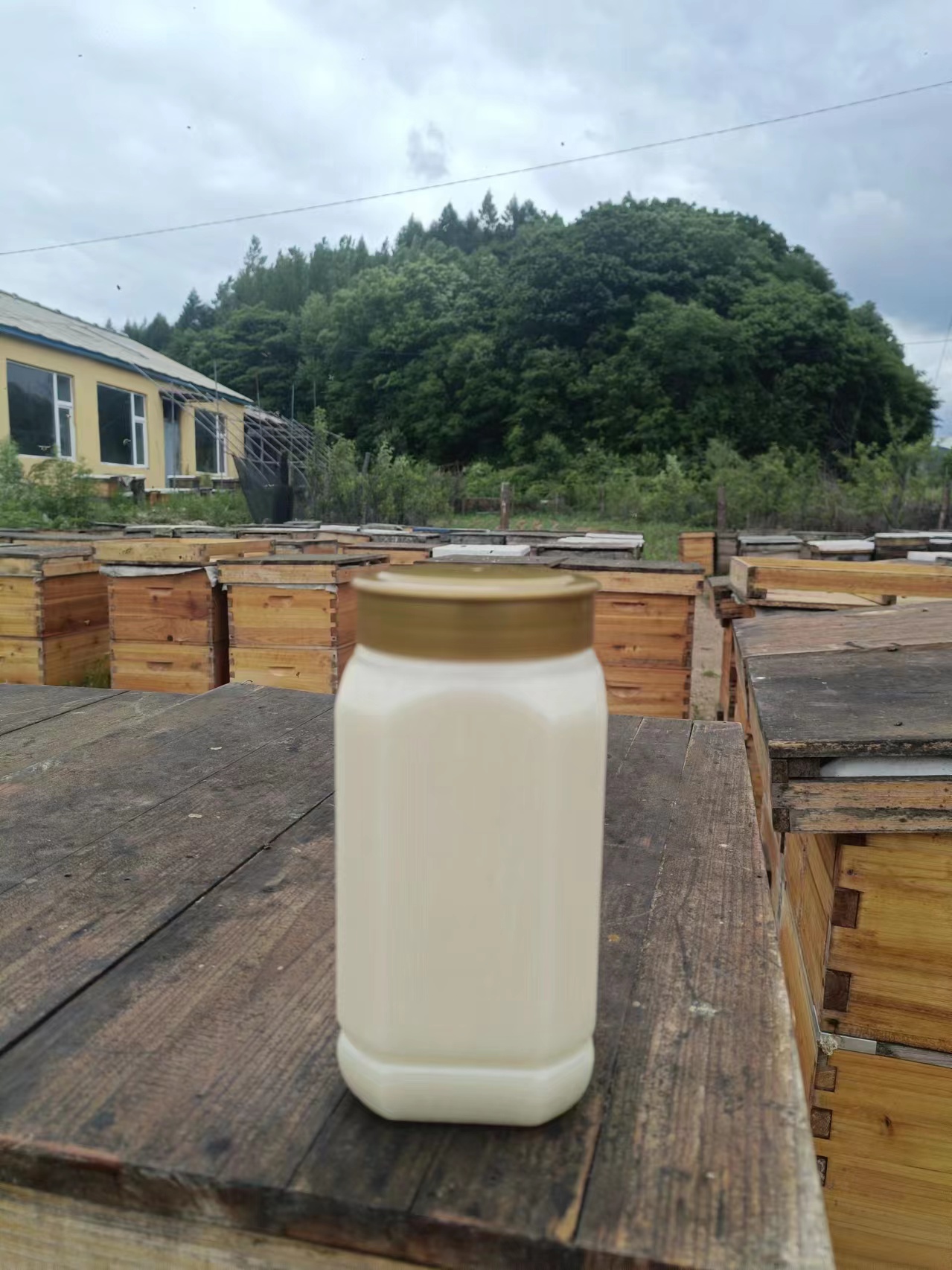 椴树雪蜜纯正天然长白山黑蜂紫椴原蜜蜂农自产假一赔千退货运费险