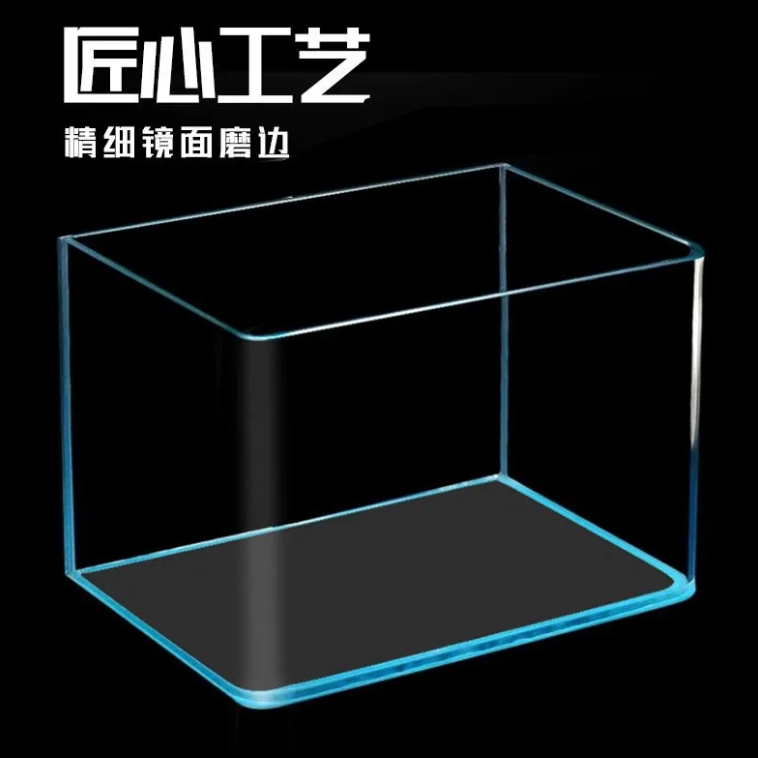 生态小型金鱼生态透明生日礼物