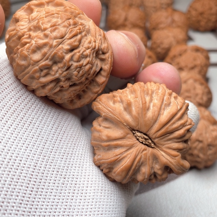 核桃手串/手链꧁****꧂白狮子闷45.5